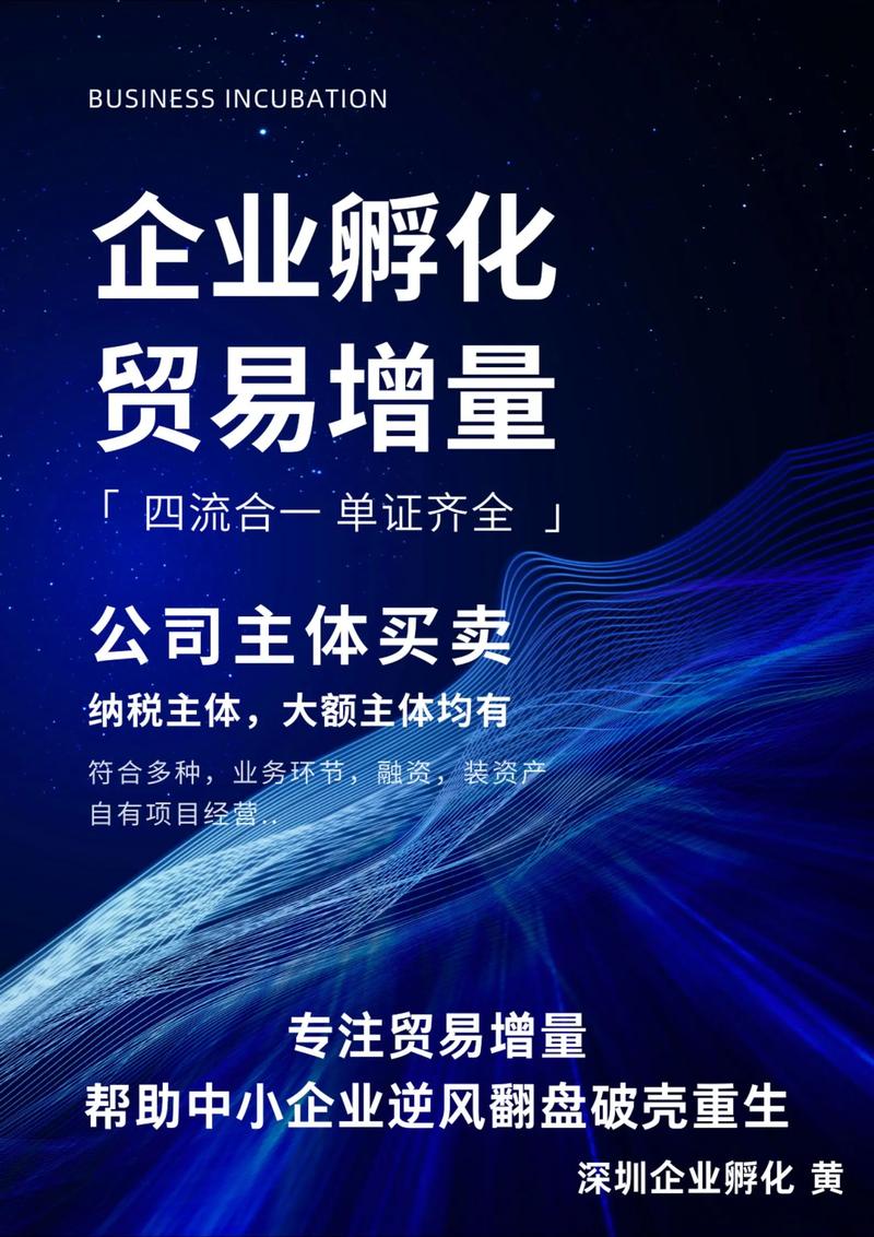 深圳贸易代理：外贸浪潮中的一艘快艇